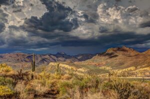 arid, cactus, cloud formation-1850193.jpg